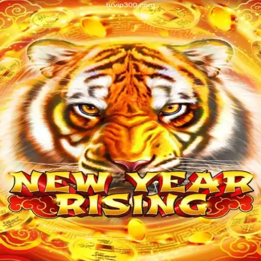 Explore the Thrilling World of NewYearRising